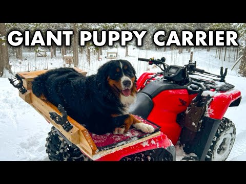 He Grew & Couldn't Fit Anymore- Finishing the ATV Dog Seat Build. ep232