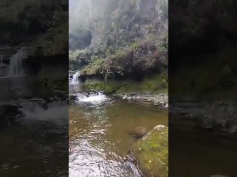 cascada balcones la dorada en puente nacional Santander #suscribete comparte para más videos reales