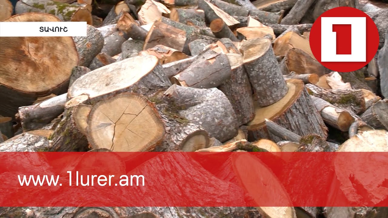 ՀՀ անտառները վտանգված են. 2020-ի վնասը շուրջ 815 մլն դրամ է, մեղադրյալ են նաև անտառապետները