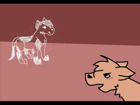 Evil Leafpool: Jaykit's Pills O.O