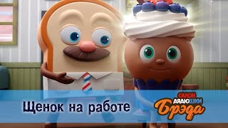 Салон дядюшки Брэда - Щенок на работе - 1 сезон 29 серия