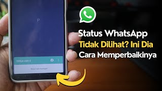 Download lagu Cara Mengatasi Status WhatsApp Tidak Ada Yang Melihat mp3