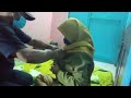 Pijat Pns Cantik Dan Montok Part 1