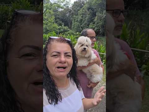 São João do Triunfo PR