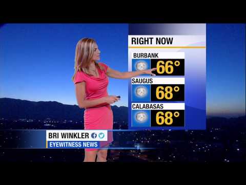 Bri Winkler 2012/07/21 KABC7 HD; Pink dress