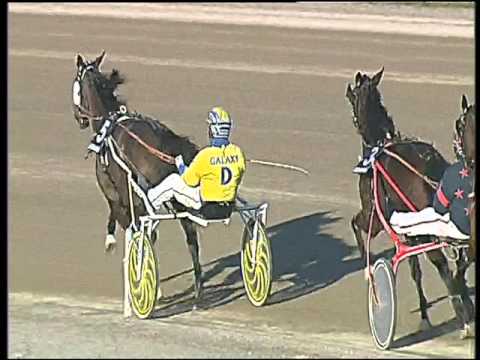 Trotto 26/01/2016 - 3° corsa