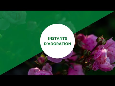 Instants d'adoration - 1 heure d'adoration