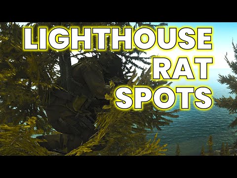 Lighthouse Rat Spot Guide - 4 Rat Spots I Used Before 1.0 | Escape From Tarkov 0.16.9