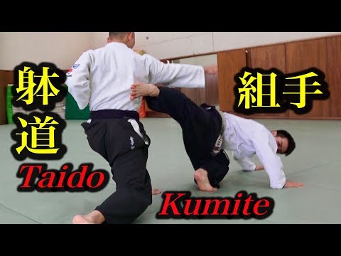 これが躰道の組手技術だ！Taido, Kumite technique! 躰道シリーズ【3】