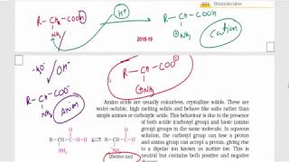Biomolecules (Part 4 ): Amino Acids  Essential & Non essential Amino acids | Class 12 NCERT