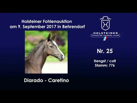 Nr. 25 v. Diarado - Caretino