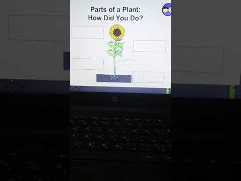 Al Najah: Grade 2 Science: Flowering Plants