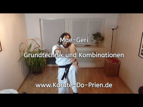 Mae-Geri Übungsreihe