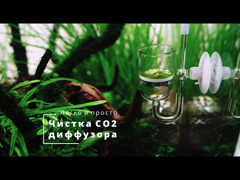Чистка CO2 диффузора. Легко и просто / Easy CO2 diffuser cleaning