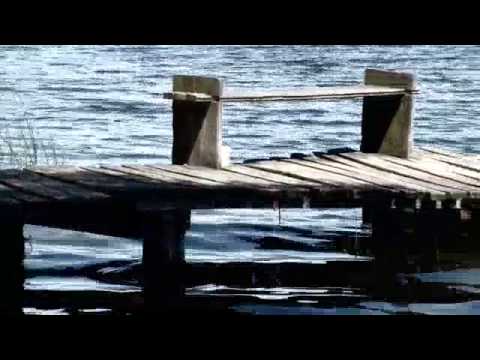 Gediminas Tarasevičius - Rytoj bus rytoj