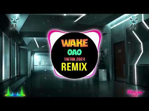 Wake - OAO (Remix Tiktok 2024 DJ抖音版)