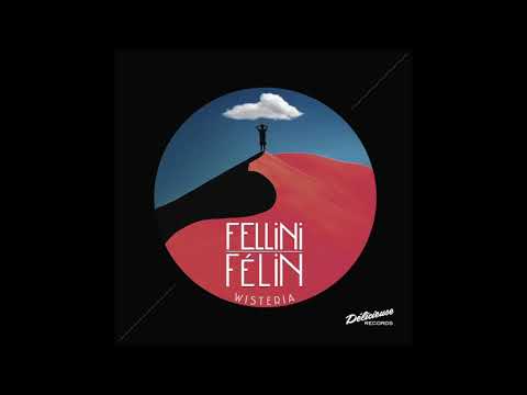 Fellini Félin - Turn Me On The Other Side