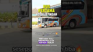 Download lagu ROSALIA INDAH'S FIRST BUS !! #shorts #short #shortvideo #shortsvideo #rosaliaindah #busmania #fyp mp3