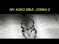 JOSHUA 2 NIV AUDIO BIBLE (with text)