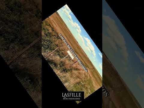 VENTA 700 hectáreas