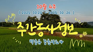 ✨주간농사정보 ] 10월 4주 (2025. 10. 20. ~ 10. 26.)