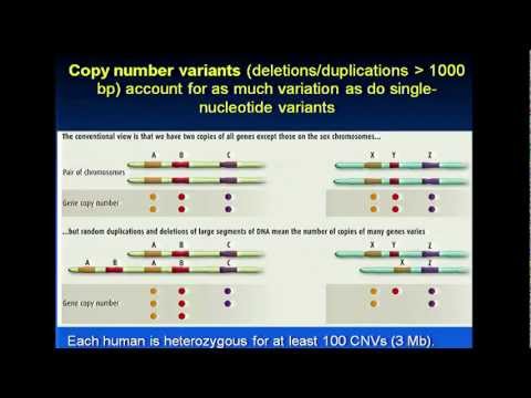 Introduction to Population Genetics - Lynn Jorde (2012)