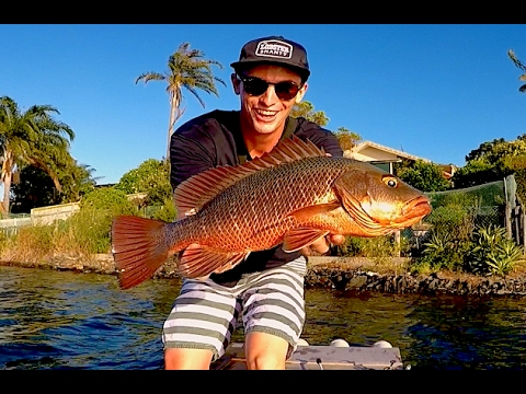 Pipe Dream Jacks Ep. 3