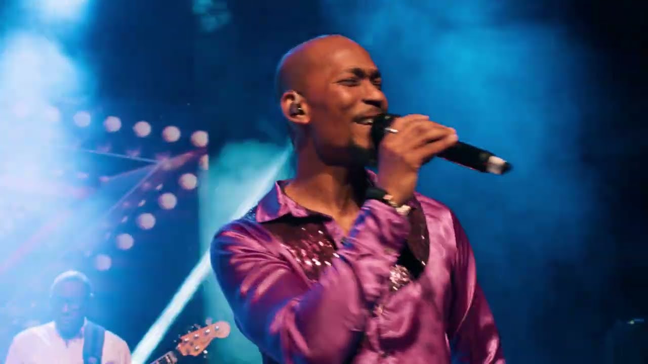 Watch the disco-tastic trailer