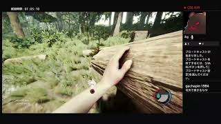 forest サバイバル生活その3