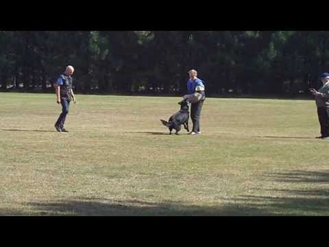 Jack van de Kaiserquelle Afd.C DMB Zonhoven 08/09/2013