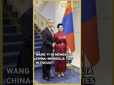 Wang Yi arrives in Mongolia for three-day visit