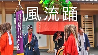 20240515・上賀茂やすらい花