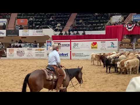 2020 NCHA Futurity Open