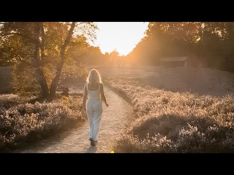 Matterz - Fixed (Official Music Video)