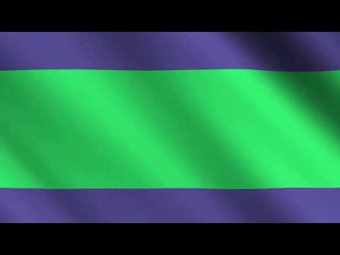 Flag of Vinni (Estonia) // Vinni lipp (Eesti)