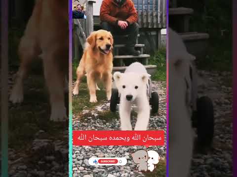 🤲🤲❤️❤️ صور لابد واحد النهار يجيب الله الفرج ان الله مع الصابرين يا صبر في السراء وفي الضراء