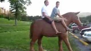 preview picture of video 'three guys and a horse.'