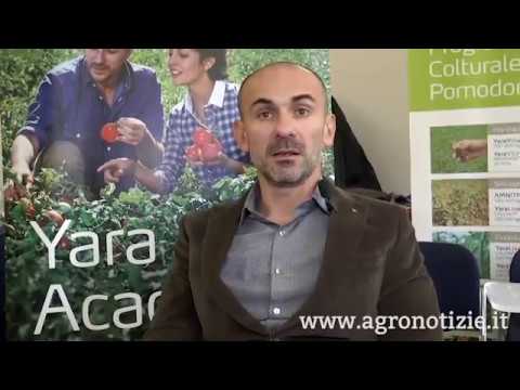 Yara Academy: focus sul pomodoro