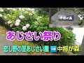 恋し野の里のあじさい園＆中将が森　道案内看板が駐車場は上へ・・行ってみると駐車場は見当たらないそして行き止まり・・少し下って広いスペースがあったので・・そこに止めて・・案内が不親切