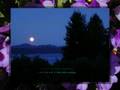 MR MAN IN THE MOON