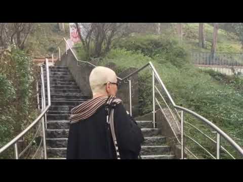 Mila Style  1090 Wien Währingerstrasse 57