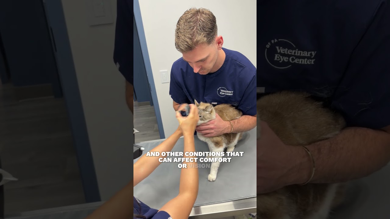 Veterinary Eye Center