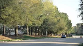 Madlib -  Electric Zone Instrumental