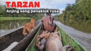 Download lagu TARZAN anjing pemburu paling handal mp3 Download lagu TARZAN anjing pemburu paling handal mp3
