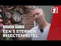 Insectenhotel 't Helmgras: "een project van ons allemaal"