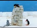 Pingu 15 Minutes 3 Episodes Pingu 39