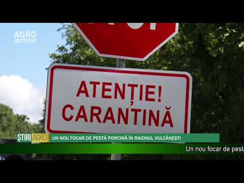 Retrospectiva Săptămânii 28 iulie 2018