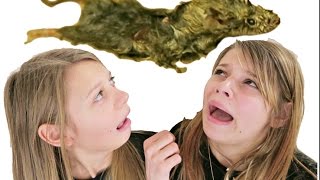 🐭NASTY DEAD MOUSE ON NEW YEAR'S DAY!!🐀