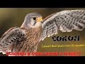 ⚡ Сайты для заработка на рисунках ❕ Зарабатывать на сайте
