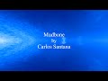 Mudbone by Carlos Santana